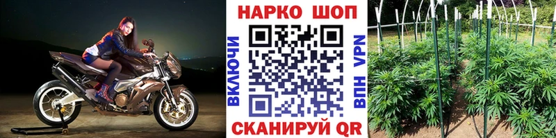 Где купить Лениногорск ТГК  Alpha PVP  Гашиш  МАРИХУАНА 